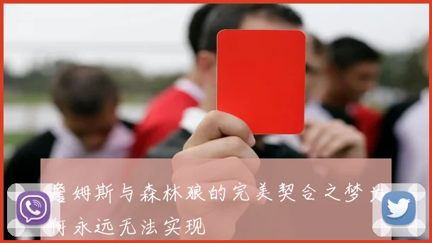 詹姆斯与森林狼的完美契合之梦为何永远无法实现