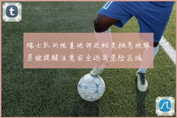 瑞士队训练基地邻近蛇类栖息地球员被提醒注意安全远离危险区域